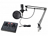 V9Xpro+BM800 Набор для стрима, конференций, игровой, студийный (микрофон, звуковая карта), Foix