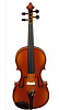 A100-15,0 Rhapsody Student Альт студенческий, Hora
