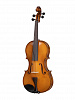 B-V165 Beginer Genial 2 Nitro Альт, Gliga