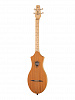 040803 M4 G Mahogany Дульцимер, Seagull