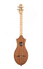 041725 M4 G Mahogany Дульцимер, Seagull