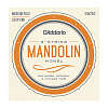 EJM75C Monel Комплект струн для мандолины, 11-41, монель-металл, D'Addario