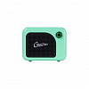 GCA5-Cable-Amplifier-GR Комбоусилитель, 5Вт, зеленый, GTRS
