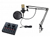 V8+BM800 Набор для стрима, конференций, игровой, студийный (микрофон, звуковая карта), Foix