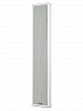 DS-100F Акустическая система, 100Вт, TADS