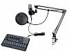 V10XPRO+BM900 Набор для стрима, конференций, игровой, студийный (микрофон, звуковая карта), Foix